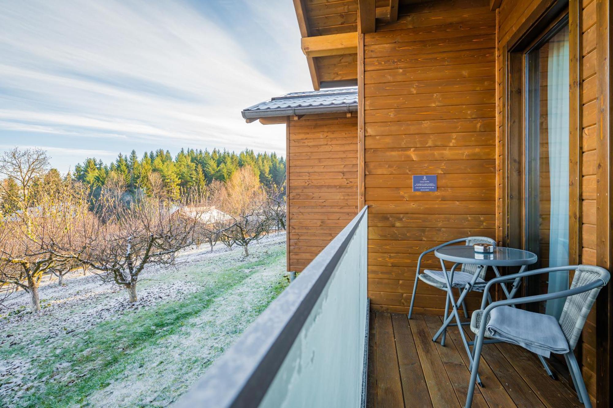 Q Chalet Сачеле Номер фото